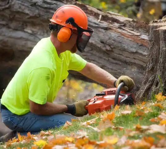 tree services Worthington